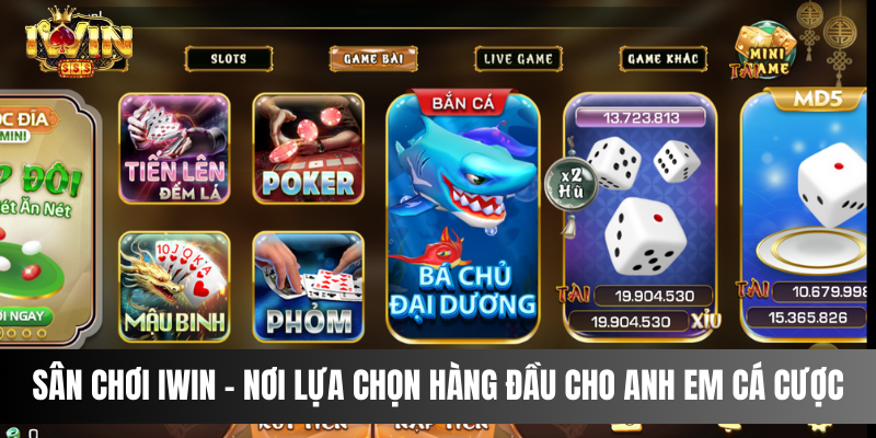 Sân chơi IWIN - Nơi lựa chọn hàng đầu cho anh em cá cược